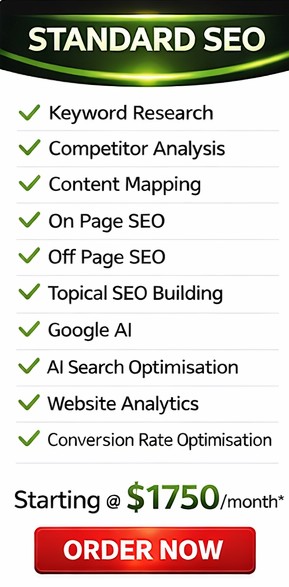 Standard SEO Plan
